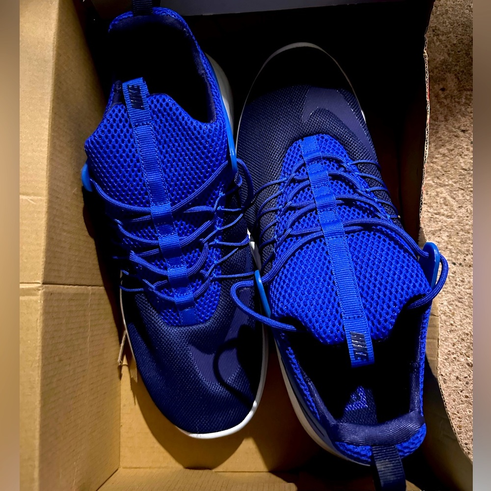 Nike Darwin mens sneakers